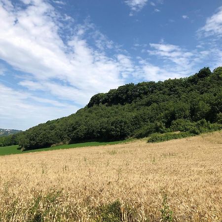 Agriturismo L'Esinante Cupramontana Dış mekan fotoğraf