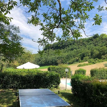 Agriturismo L'Esinante Cupramontana Dış mekan fotoğraf