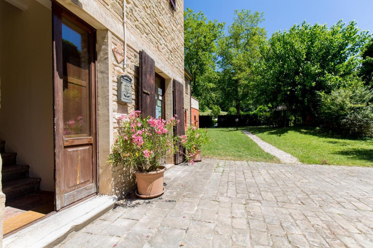 Agriturismo L'Esinante Cupramontana Dış mekan fotoğraf