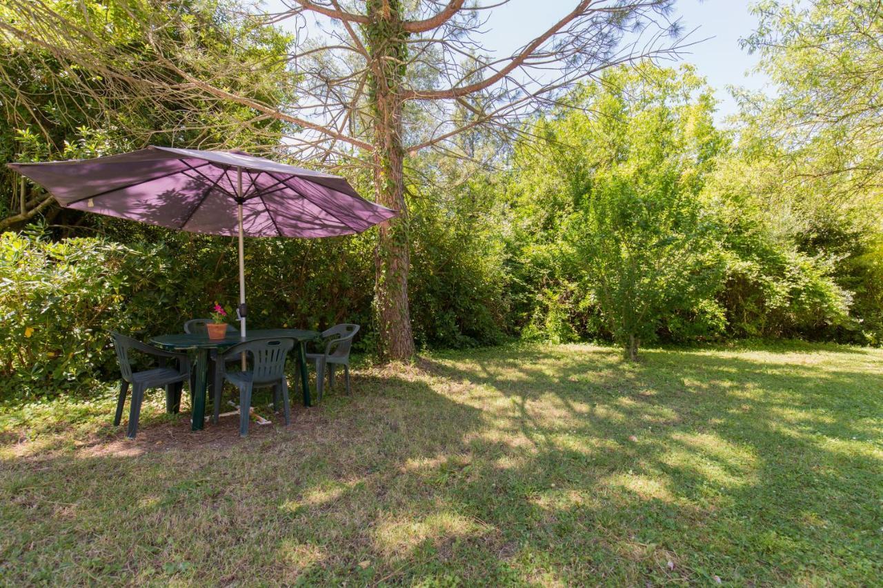 Agriturismo L'Esinante Cupramontana Dış mekan fotoğraf