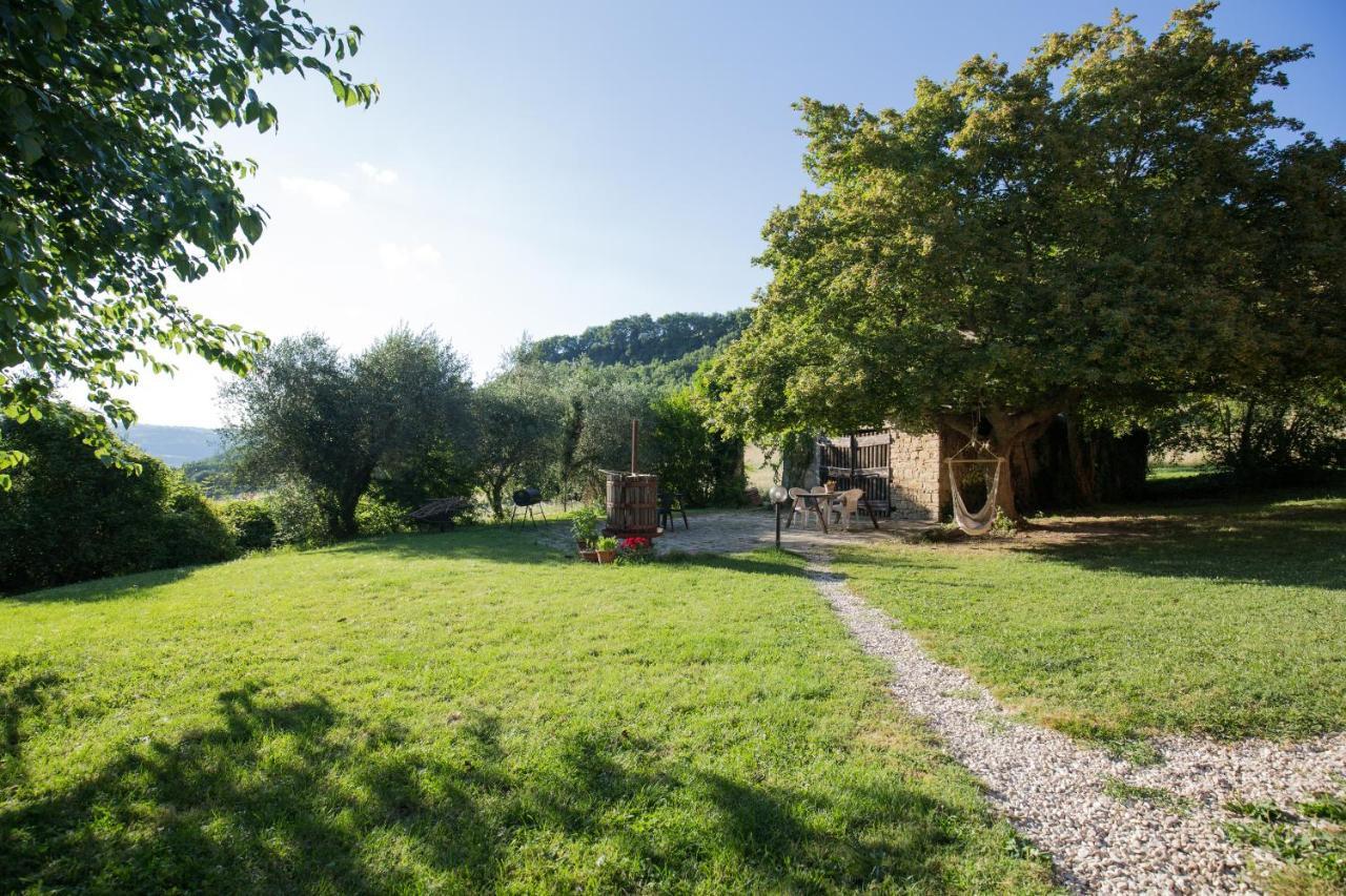 Agriturismo L'Esinante Cupramontana Dış mekan fotoğraf
