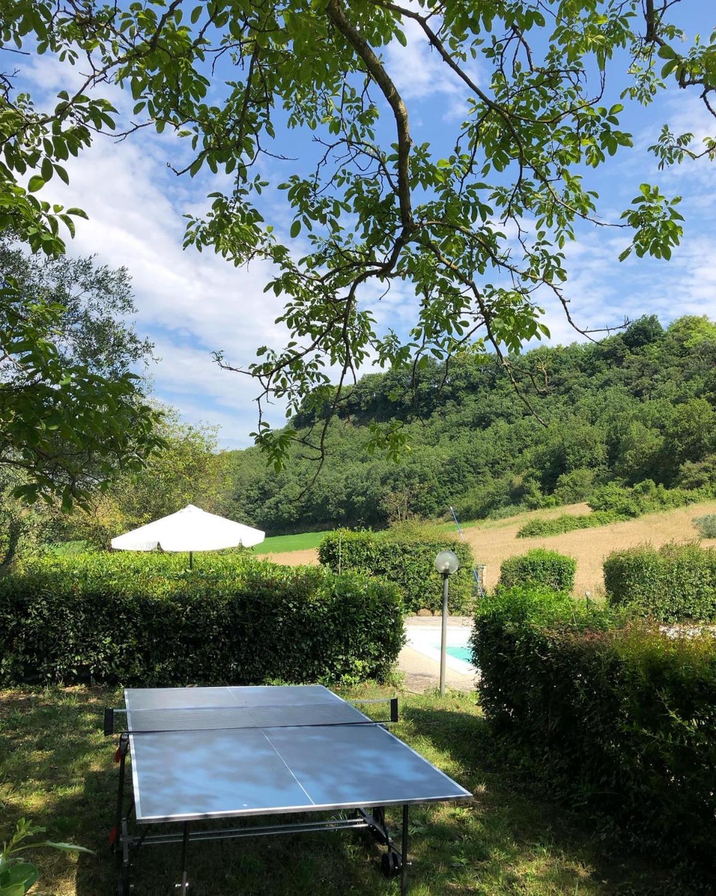 Agriturismo L'Esinante Cupramontana Dış mekan fotoğraf